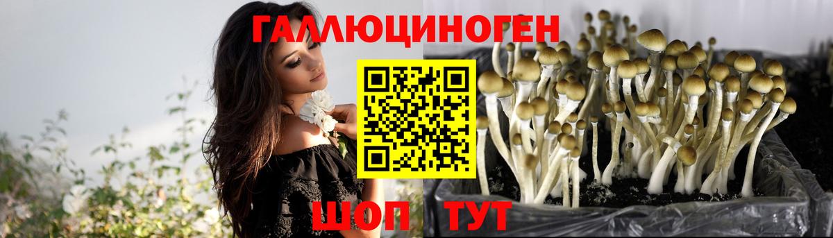 Галлюциногенные грибы Magic Shrooms  Вход с VPN  Серов 